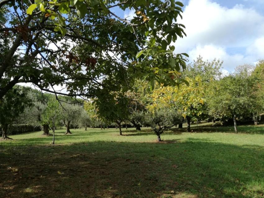 Vigna Dell'Agrifoglio - Bed And Breakfast Velletri Exterior foto