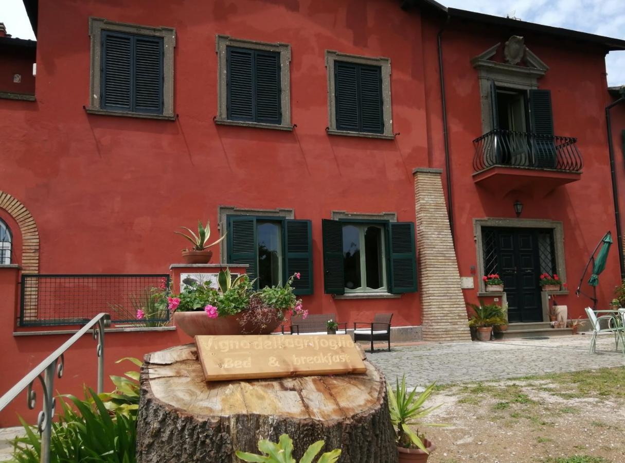 Vigna Dell'Agrifoglio - Bed And Breakfast Velletri Exterior foto