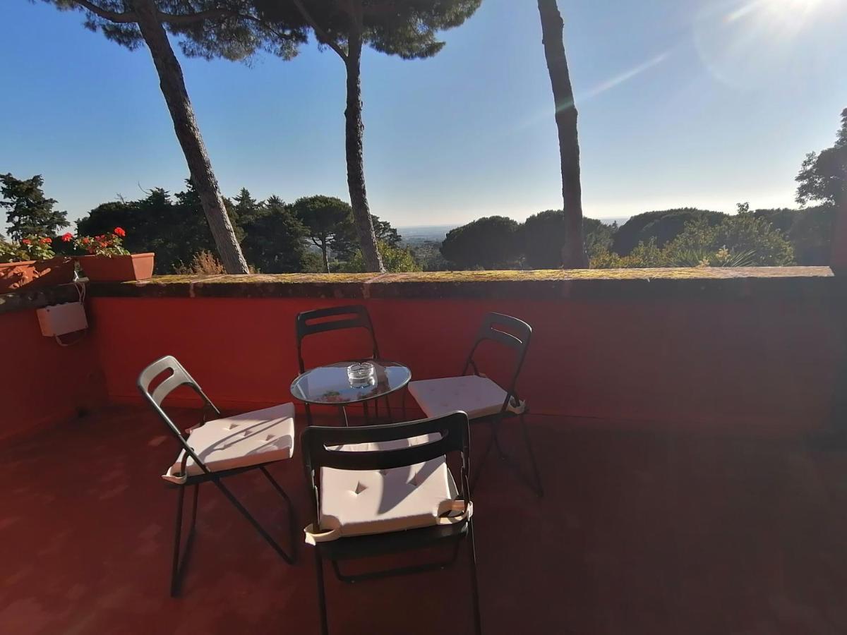 Vigna Dell'Agrifoglio - Bed And Breakfast Velletri Exterior foto